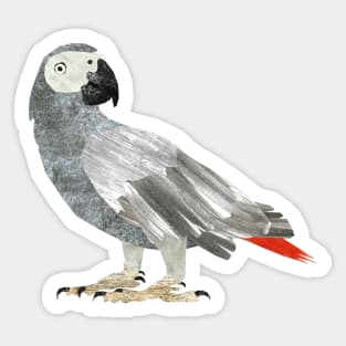 African Grey Parrot Sticker